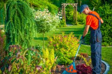 Jardinage, service aux entreprises et particuliers